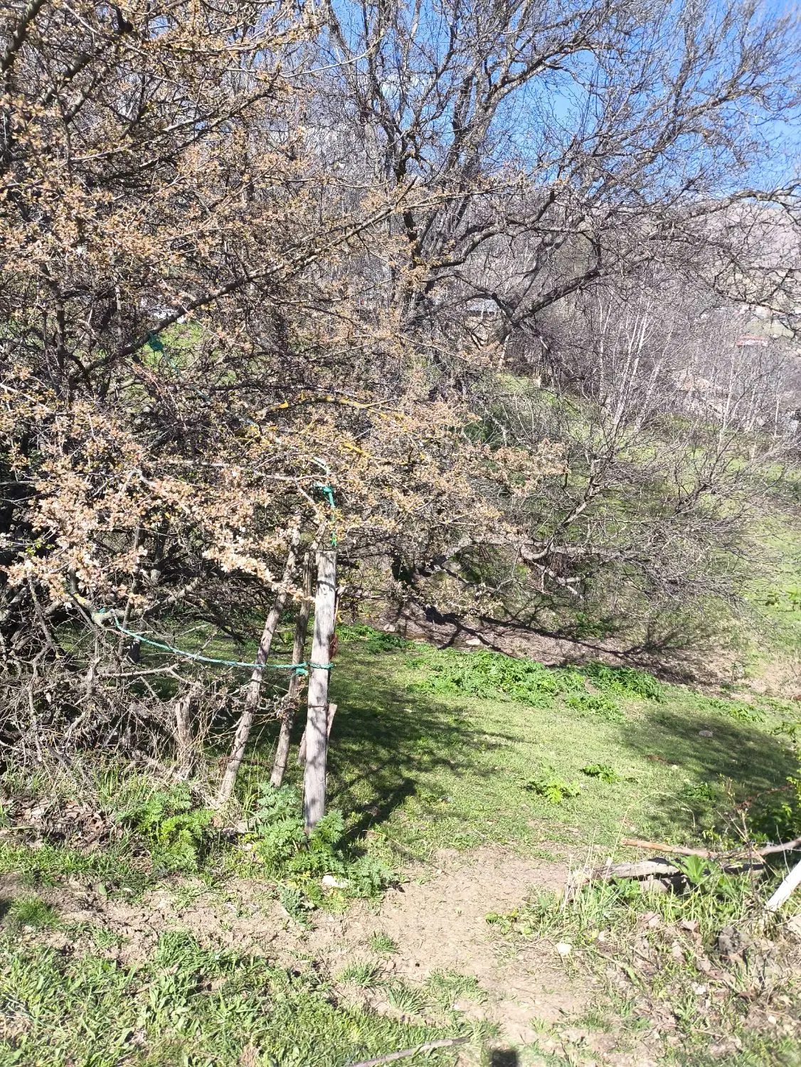 فروش فوری زمین مسکونی در روستای کوپس
