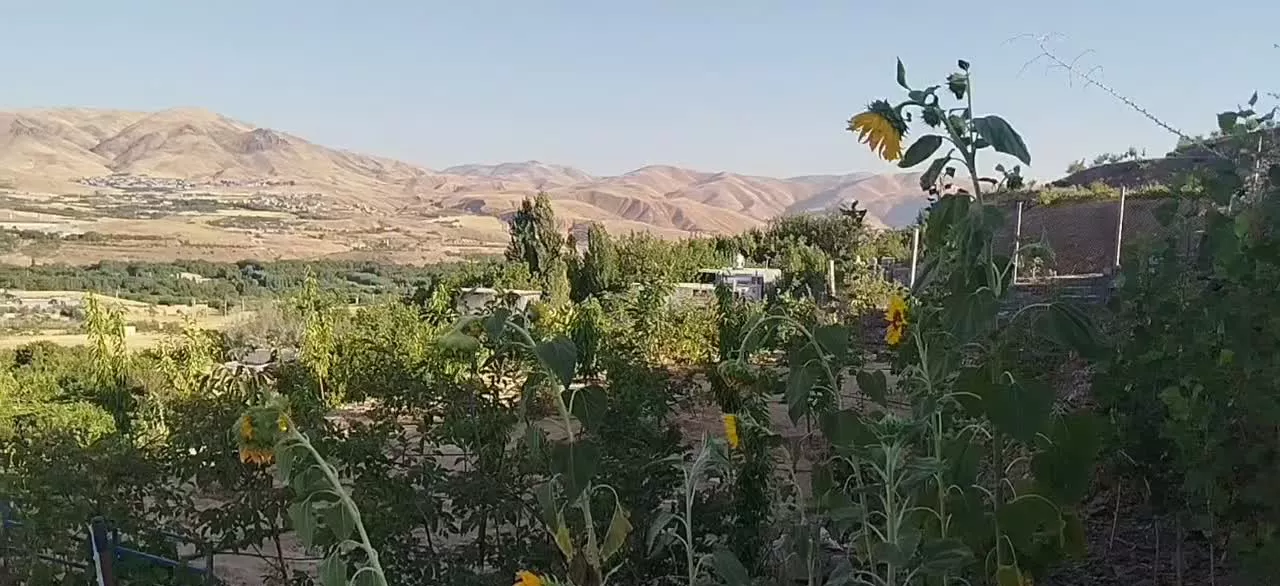 زمین کشاورزی  در حسن اباد