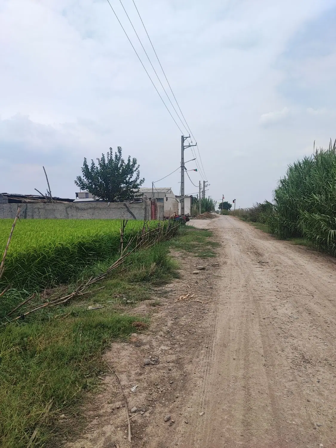 فروش یه قطعه زمین 1000متری در روستای محمدآباد