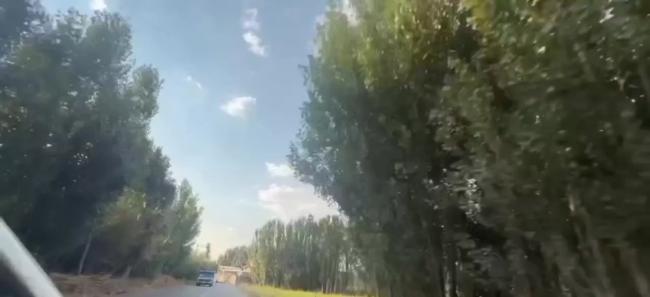 باغ میوه در دل رودخانه و طبیعت بکر