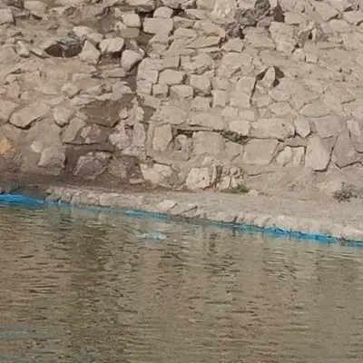 فروش زمین در علی اباد بهارستان ۵۶ یه متراژ ۵۲۰ متر