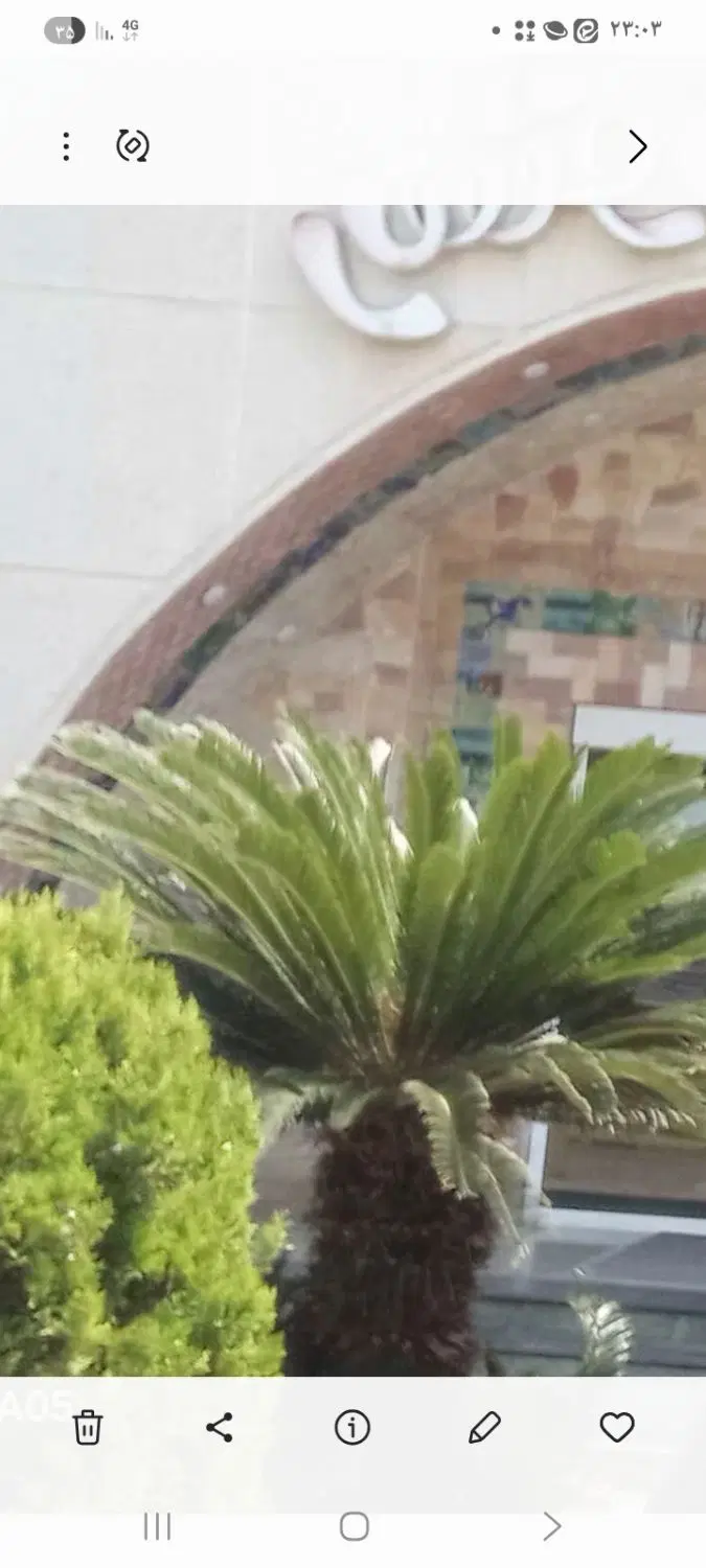 خونه اجاره ای دانشجویی مبلمان شده ۵۰متری
