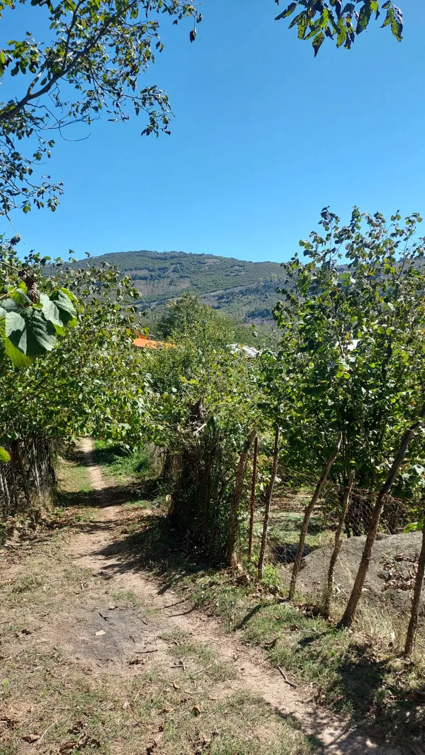 زمین باغی  روستایی کاربری مسکونی  413 متر