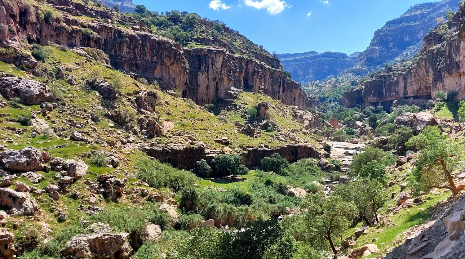 زمین قبر