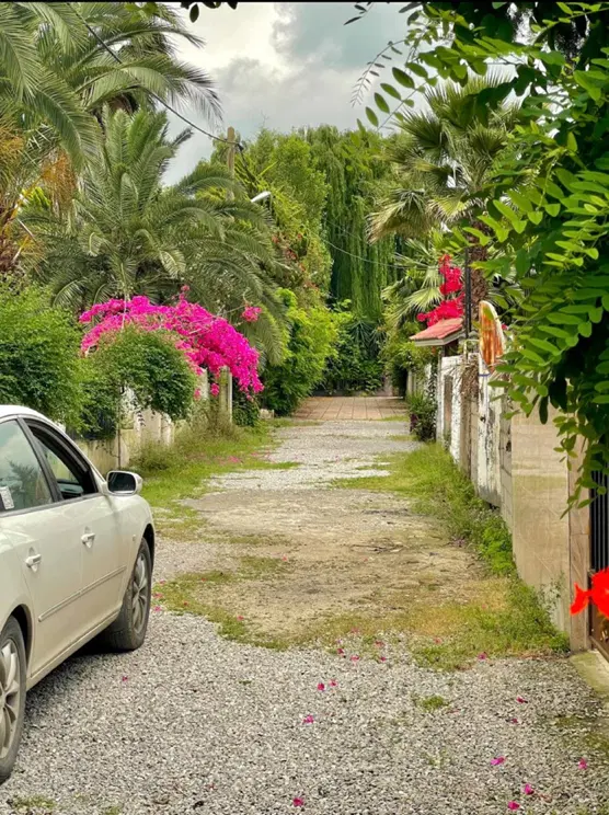 زمین۲۵۰متری_سنددار_قابل ساخت_اقساطی