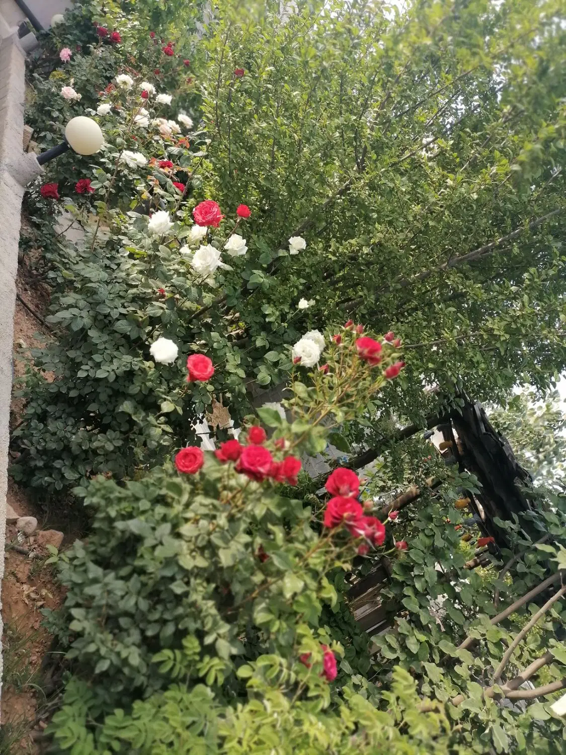 خانه باغی در بهترین نقطه سپیدان