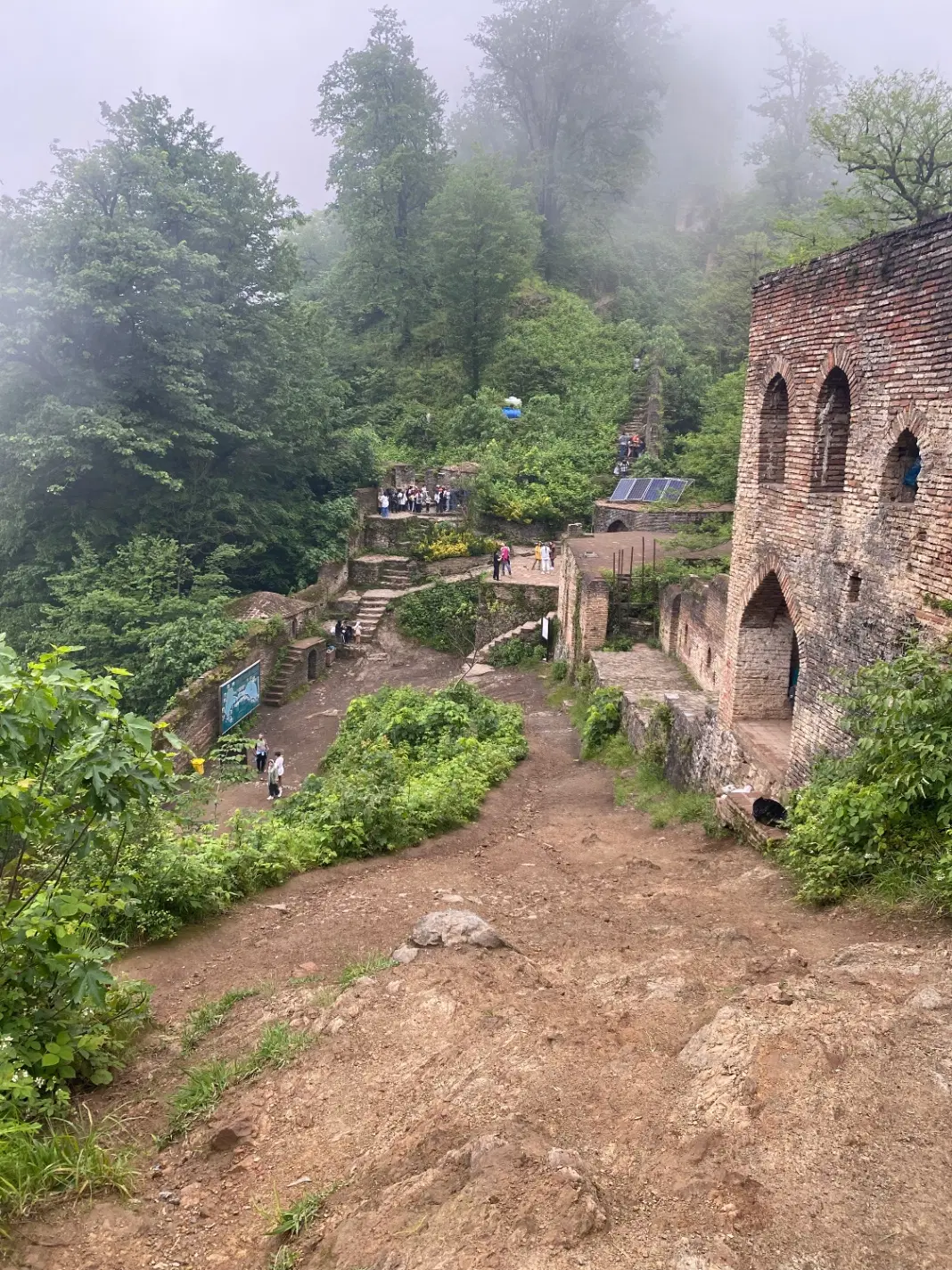 زمین کشاورزی