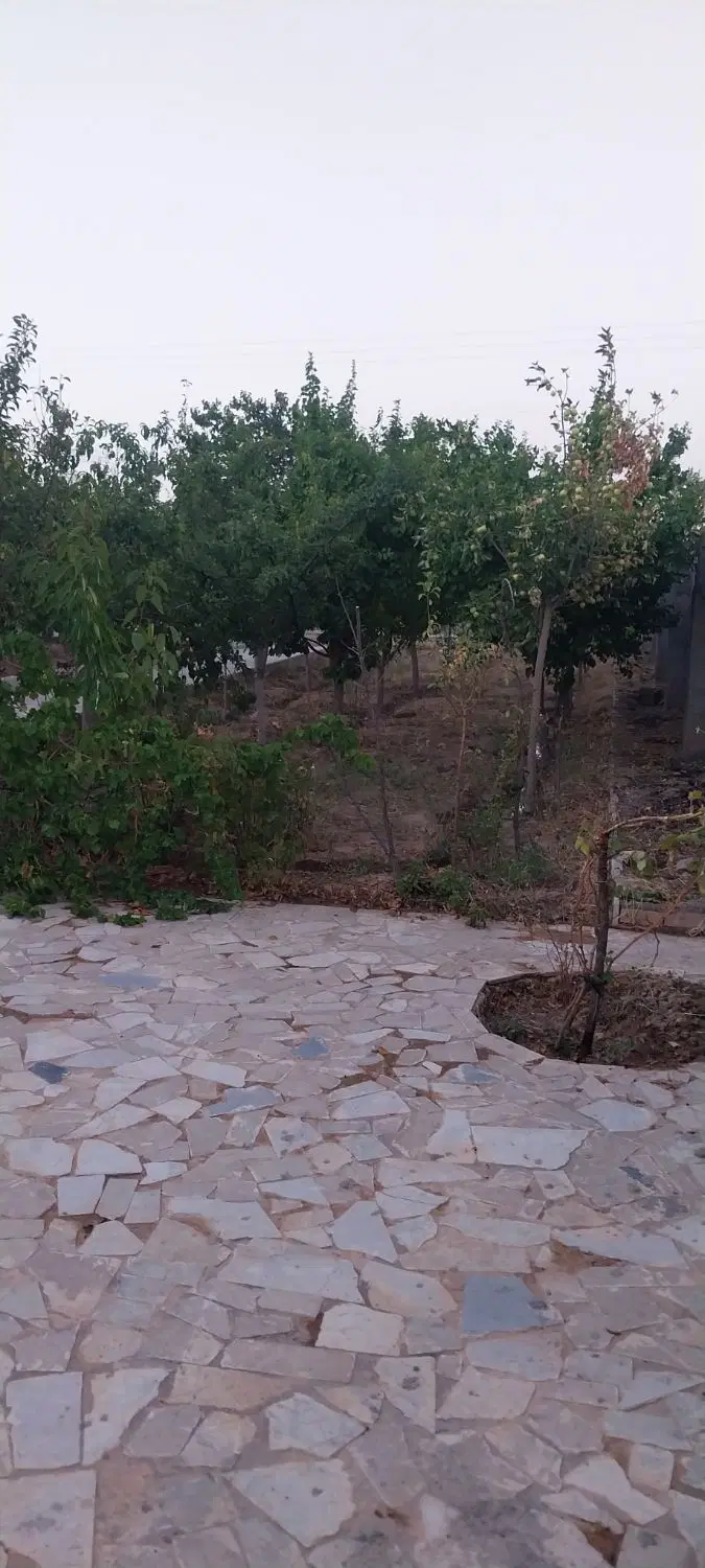 باغ فروشی