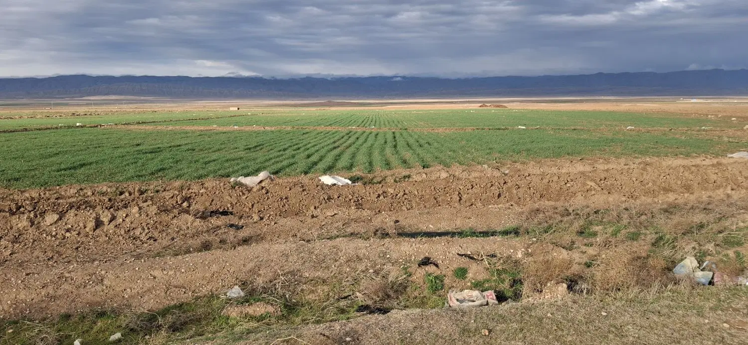 زمین فروشی حاشیه جاده سنتو شش دانگ تک برگ