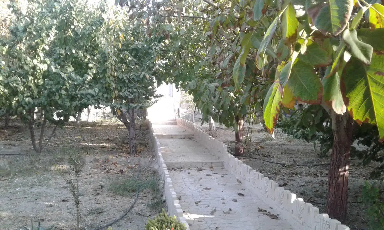 فروش باغچه در مهرآباد