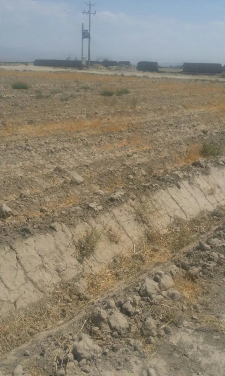 زمین کشاورزی