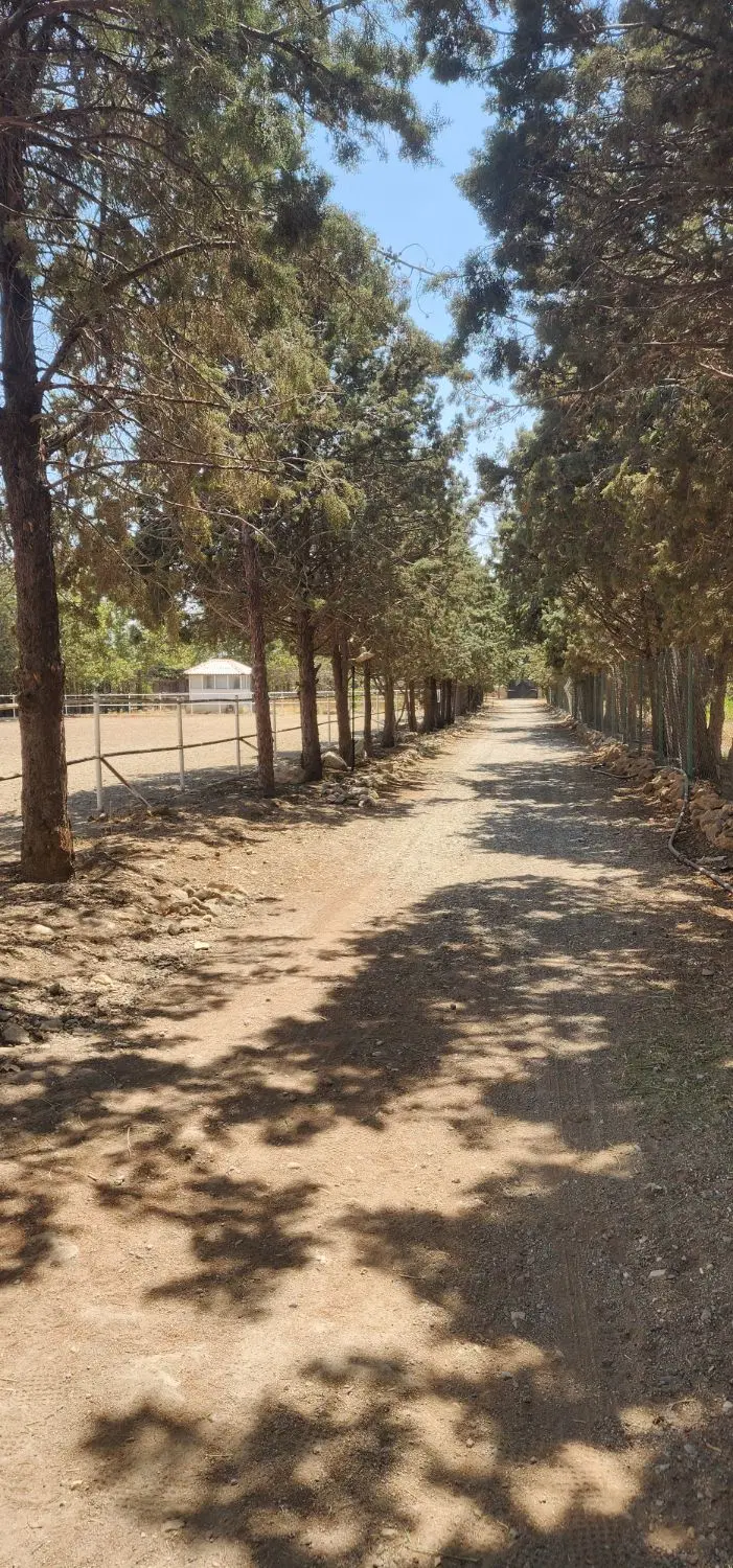 اجاره باکس و پانسیون  اسب در کردان