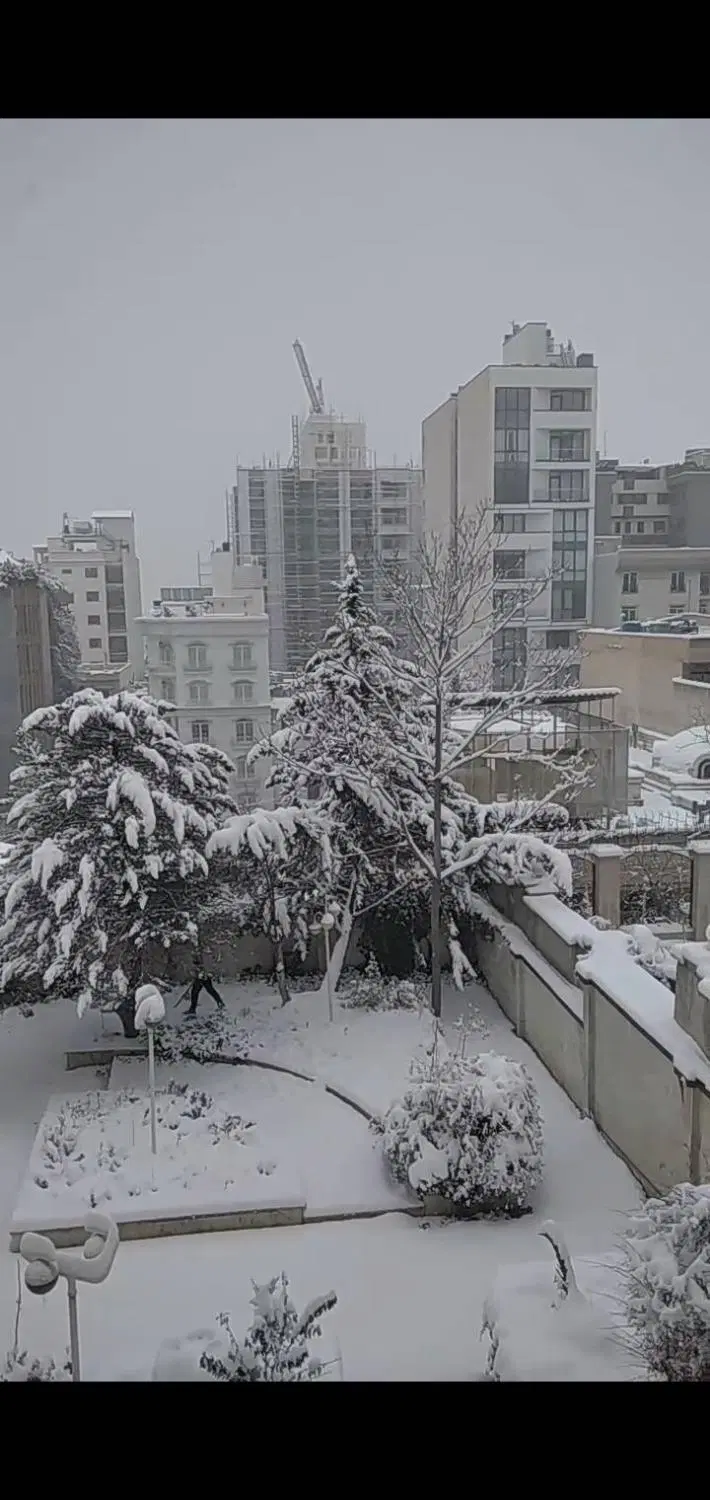 خانم هستم ،همخونه میشم محدوده زعفرانیه_ولنجک