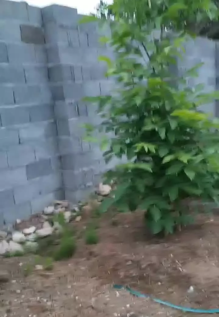 فروش ۱۲۰۶مترمربع
