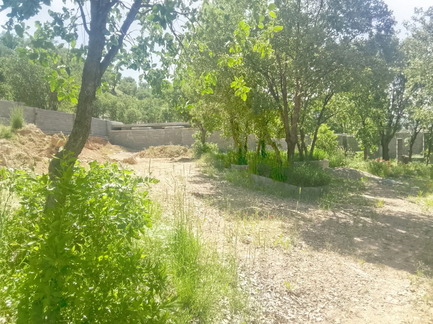 زمین باغی