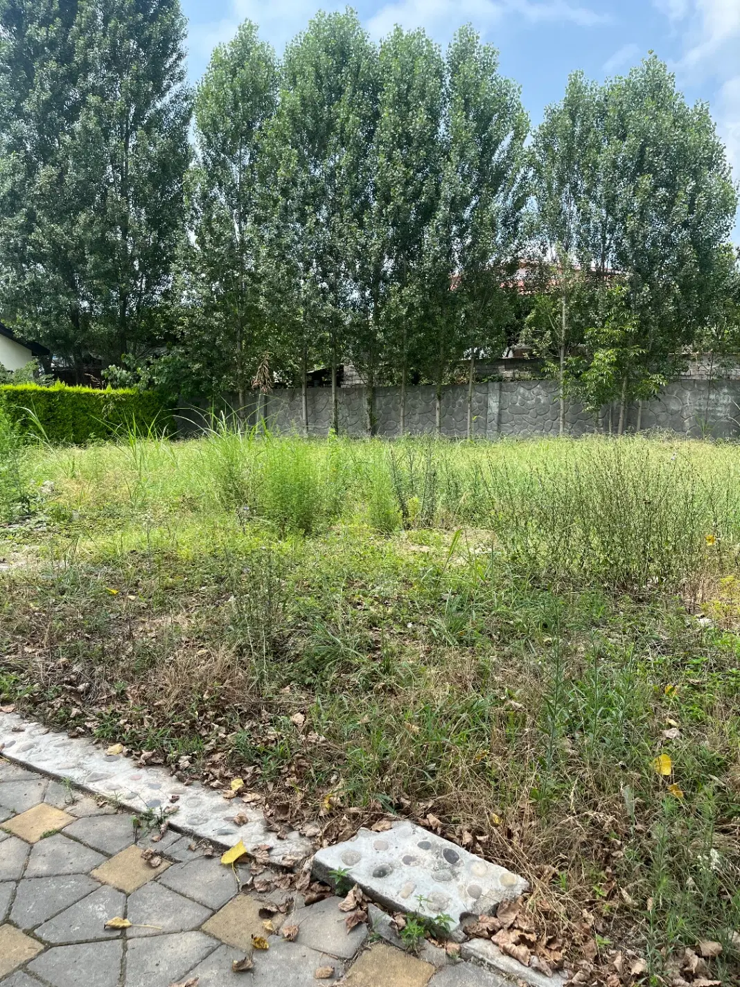 ۵۰۰ متر شهرکی چمستان_ جنگلی