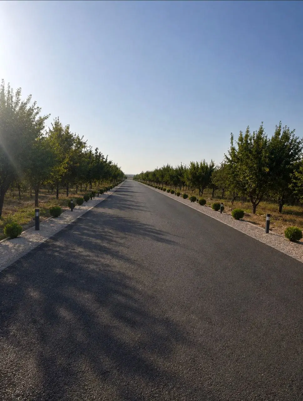 فروش باغشهر سیخ دارنگون