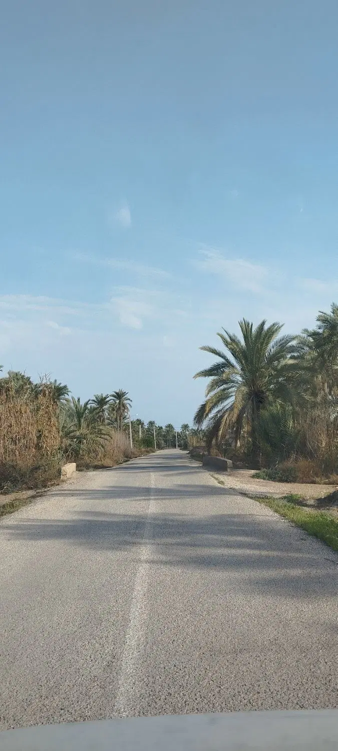 زمین روستایی