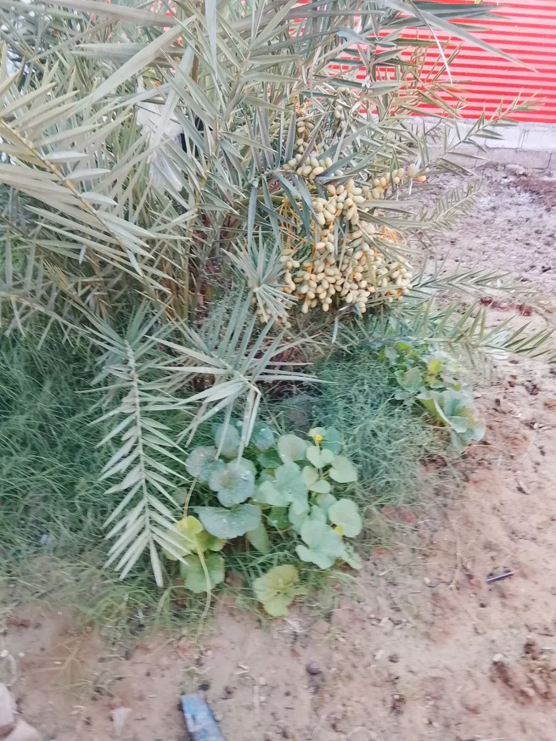 فروش زمین تجاری و مسکونی