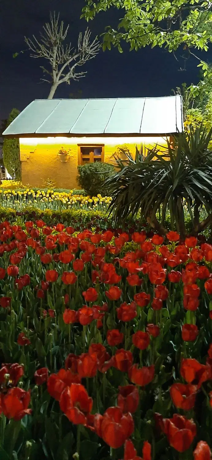 فروش زمین باغی