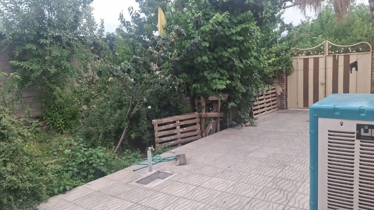 خانه اجاره ای لاله زار
