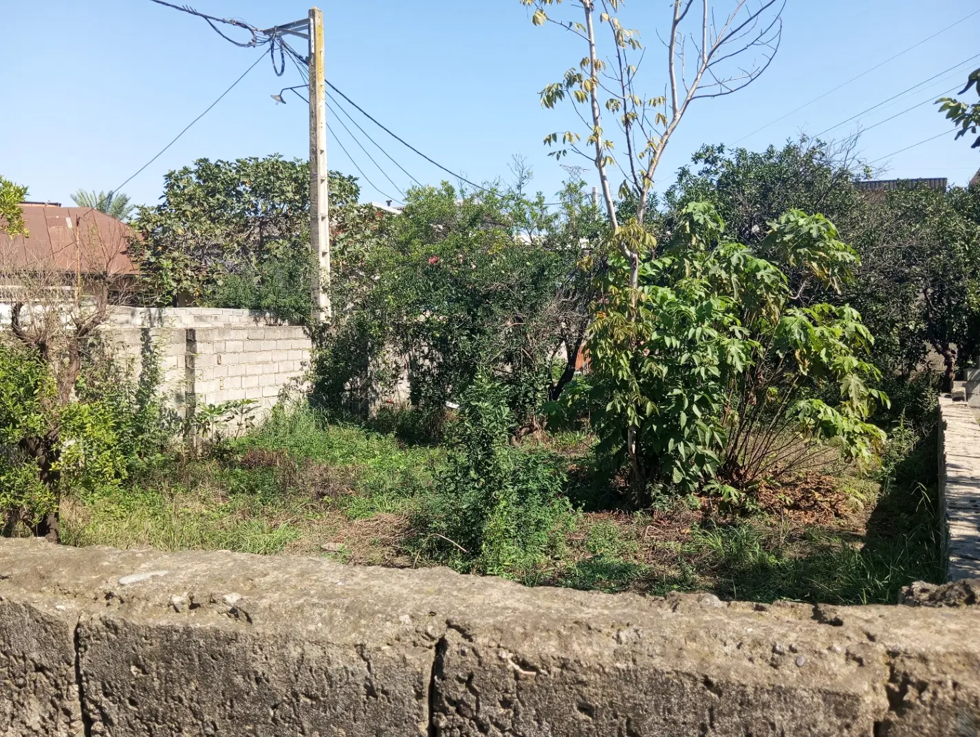 فروش زمین مسکونی رینگ داخلی قائمشهر بهترین موقعیت