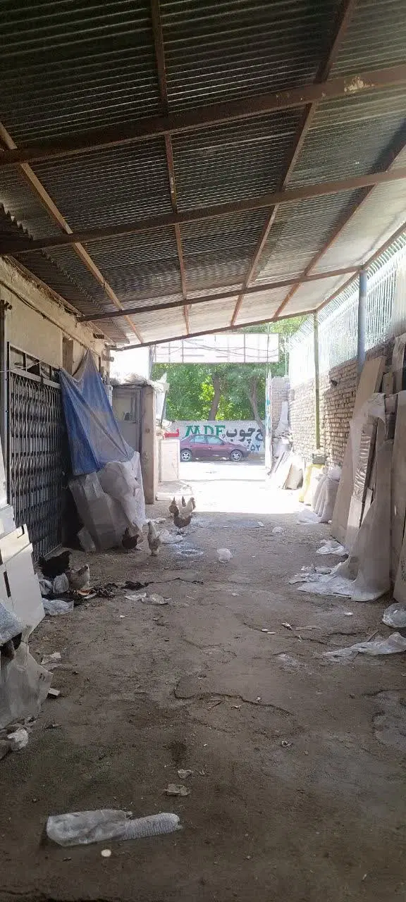 اجاره سوله تمام فول