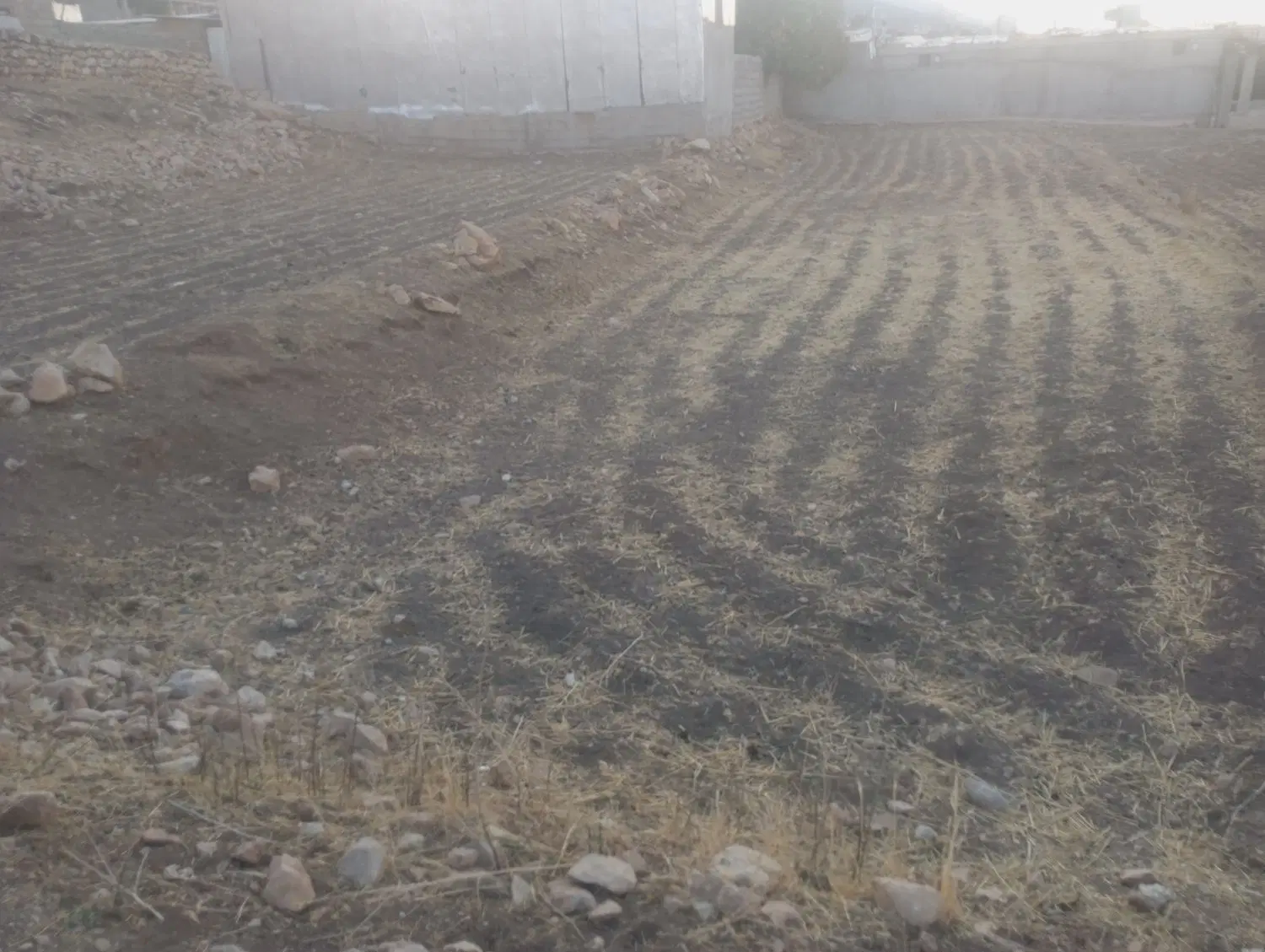 زمین مسکونی