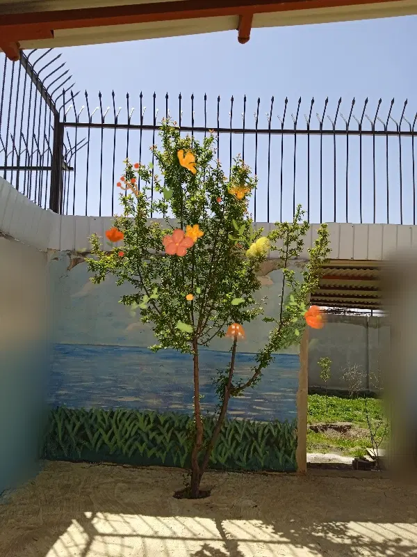 ویلا  ۳۳۰م. جایگاهی ایمن برای زندگی خانواده