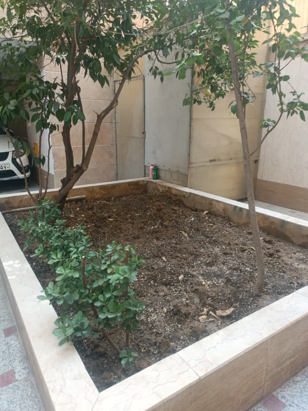 رهن اپارتمان