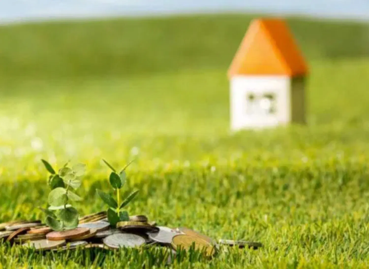 زمین سند داررجایی دونبش