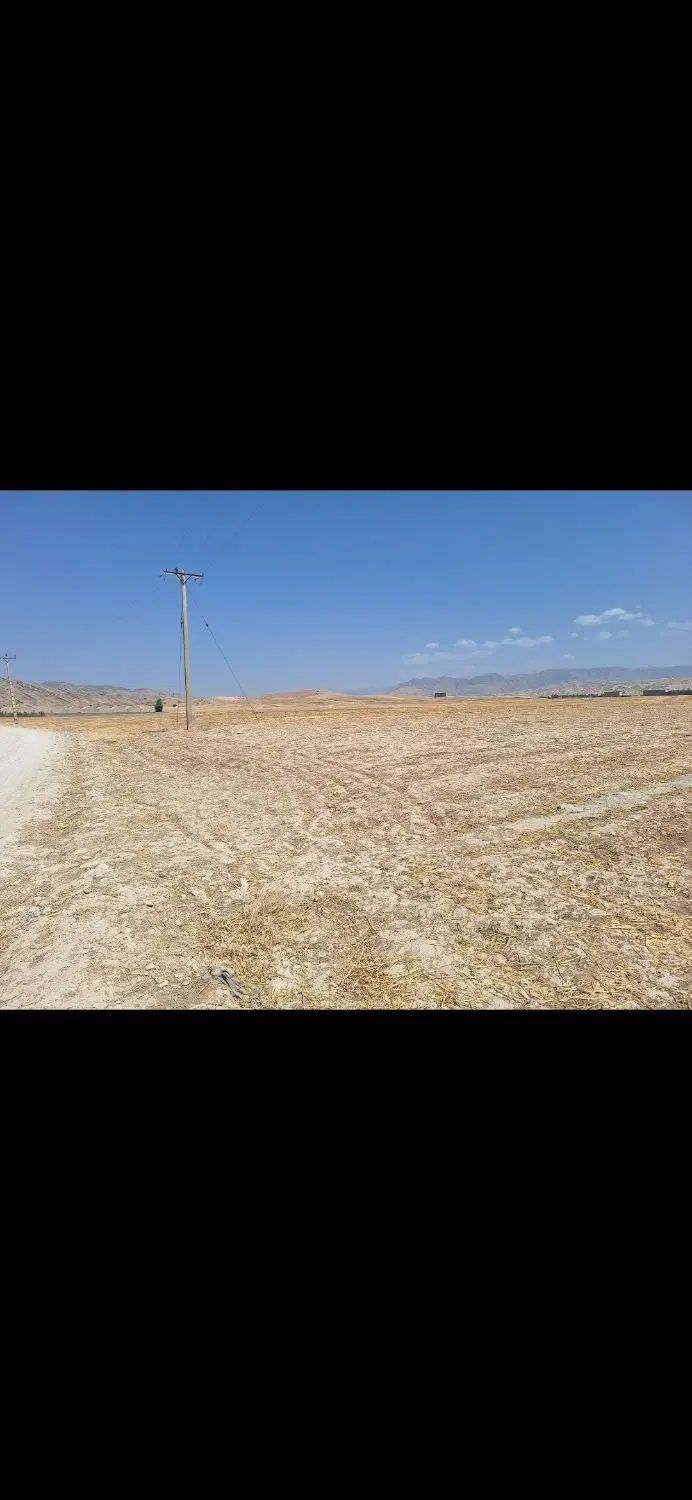 فروش زمین با مجوز گلخانه ای