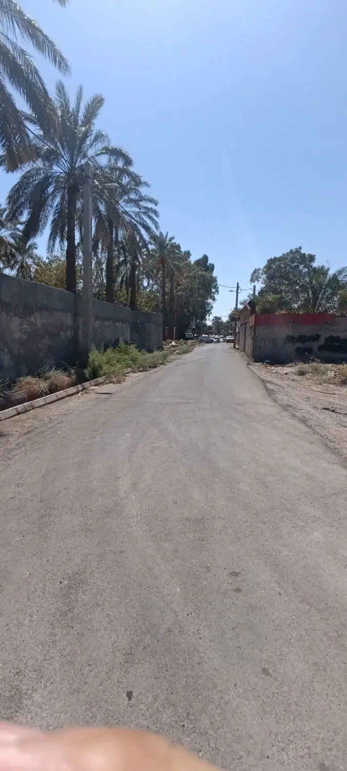زمین