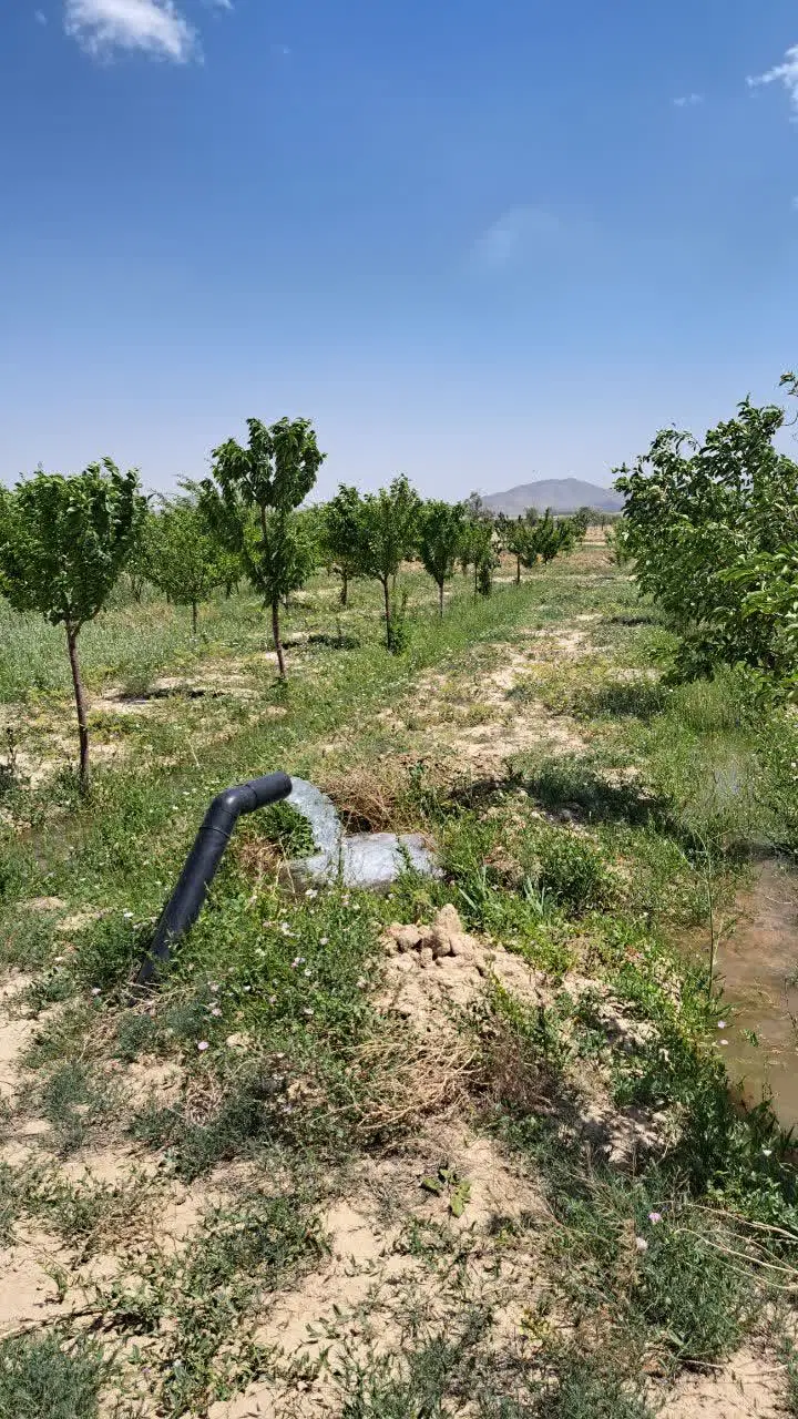 باغ پشت پمپ بنزین حاجی آباد