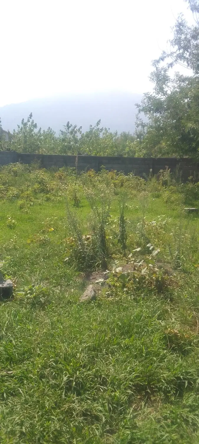 زمین با سند داخل طرح هادی