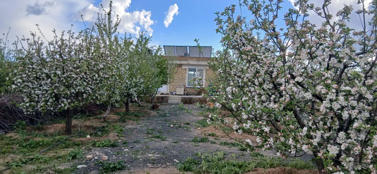 باغ سند ثبتی