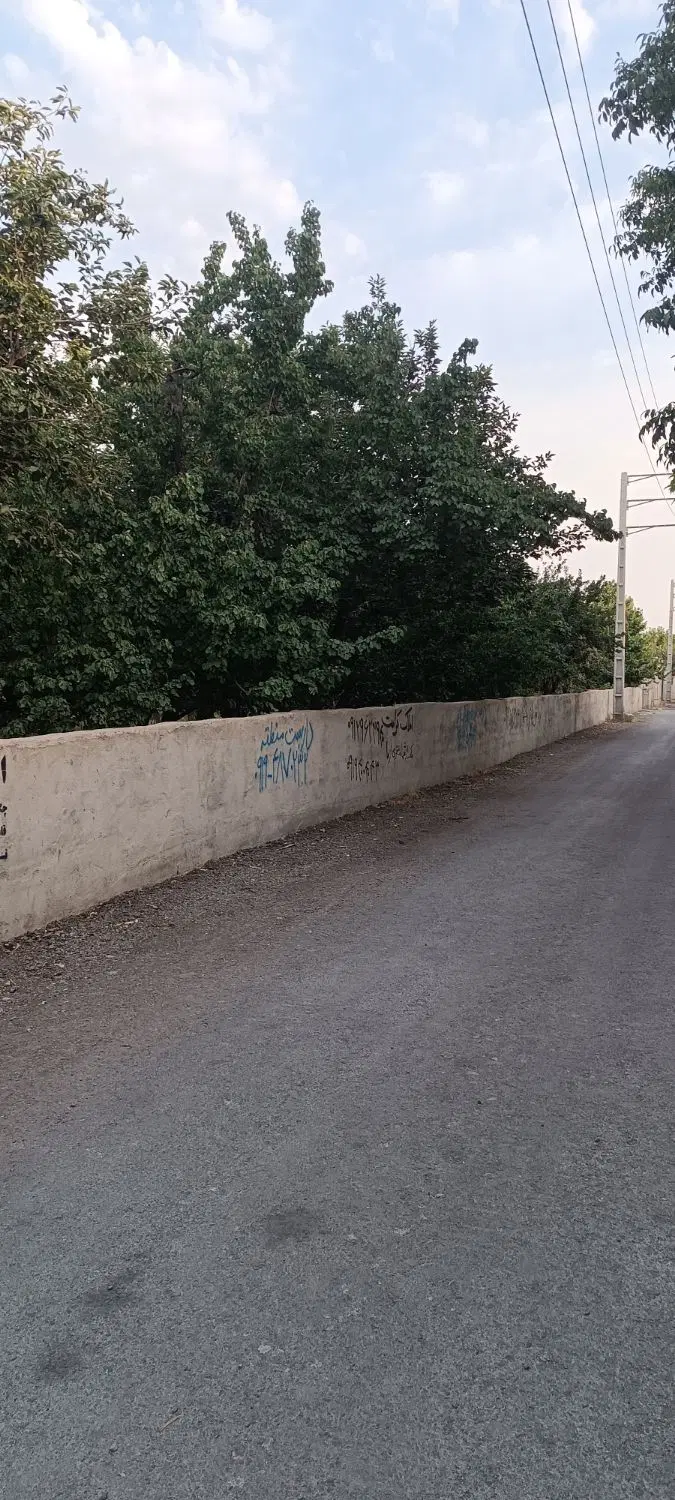 باغچه قدیمی