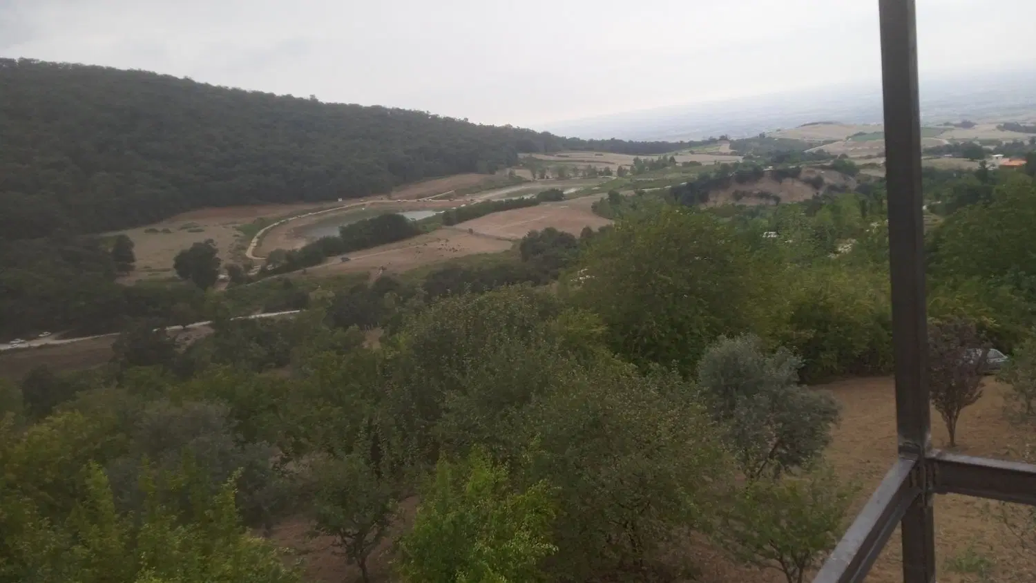 همخونه