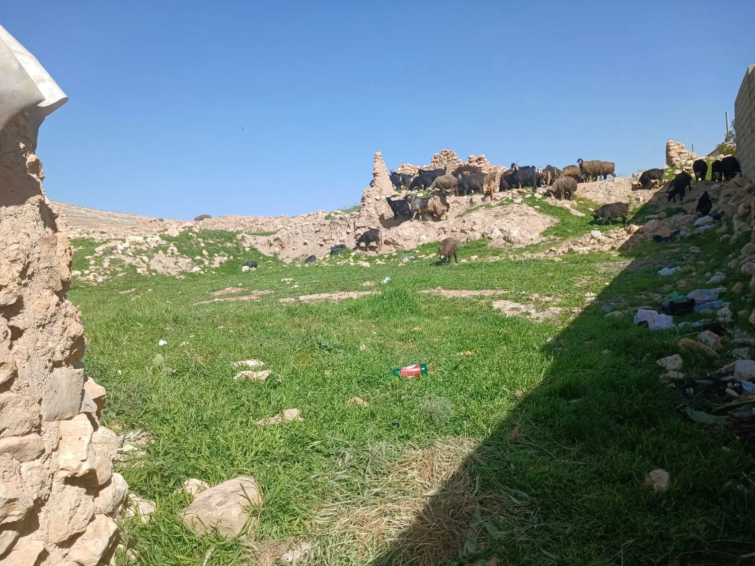 زمین در روستای بردج