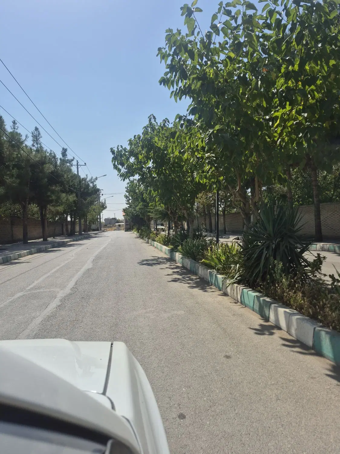 باغ ۱۰۰۰ متری پدیده