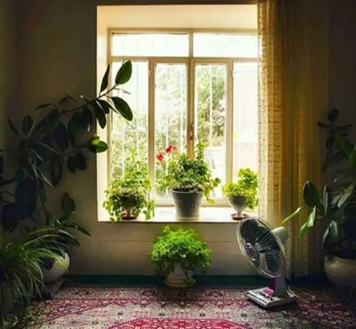 اجاره اتاق