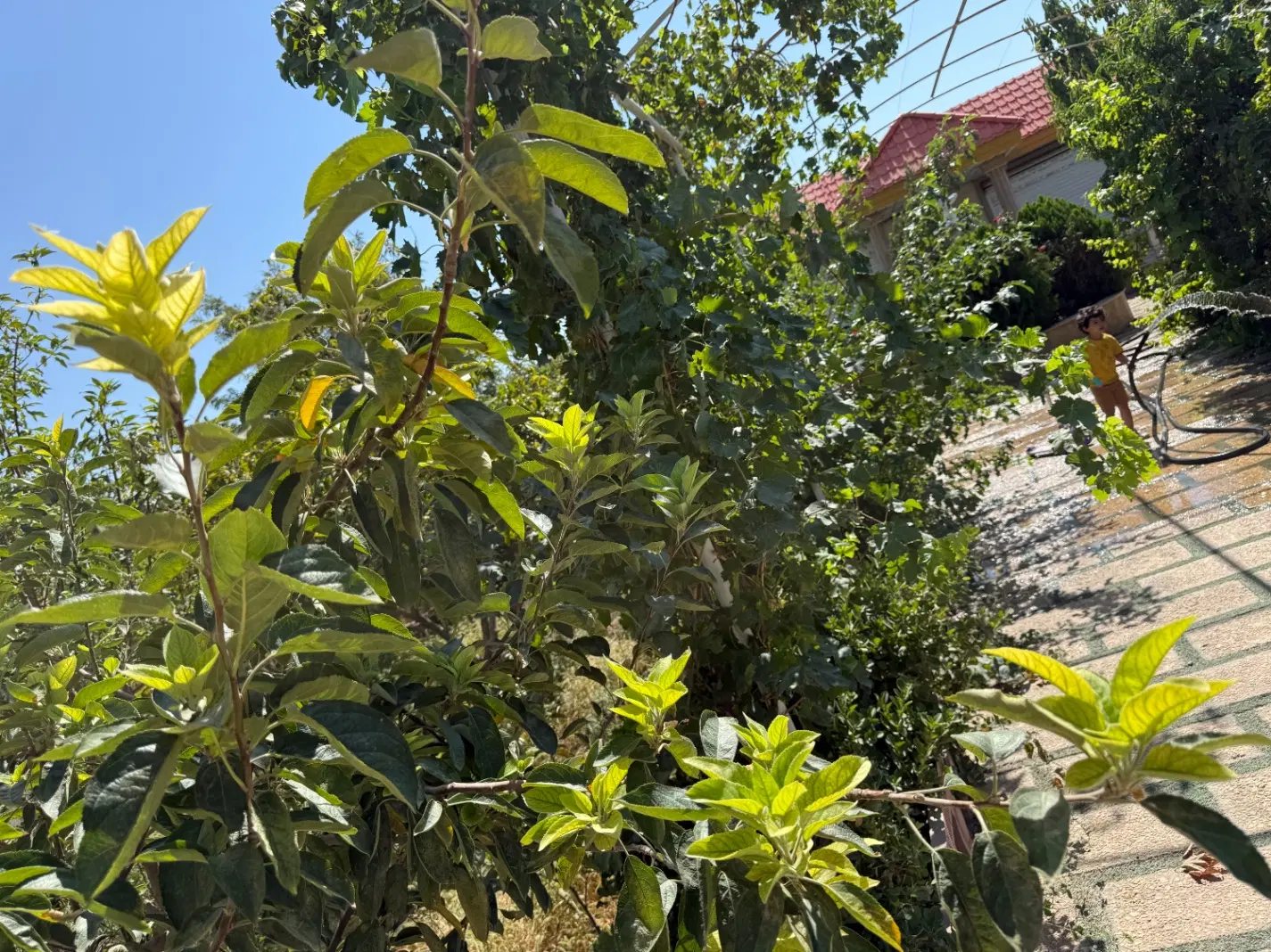 ویلا فول امکانات۶۵۰ متری(سنددار)  سرسبزصفادشت