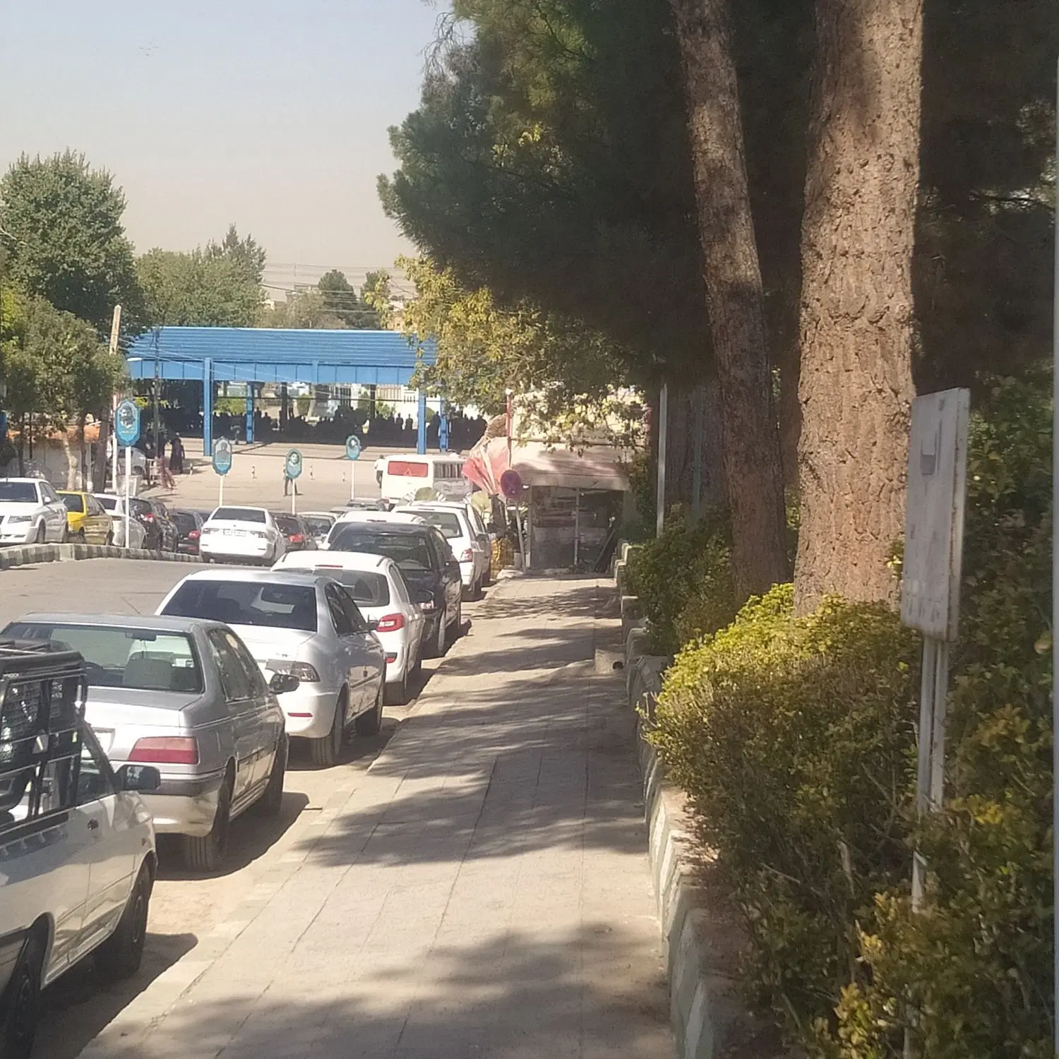 واگذاری یک قطعه قبر