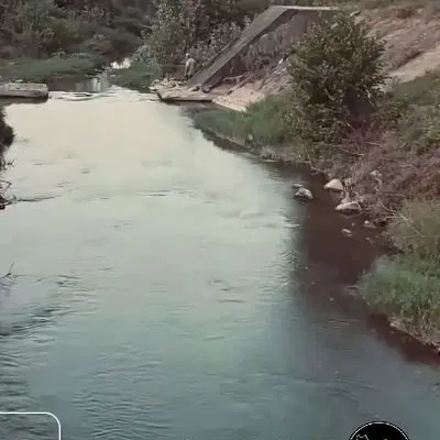 فروش باغ و سوله