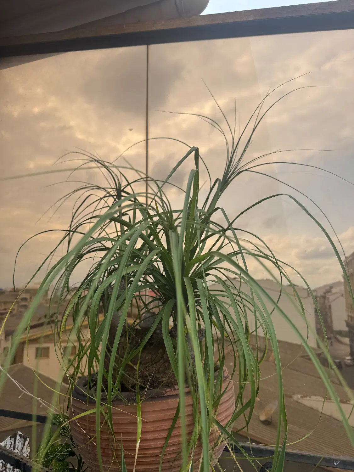 فروش ۱۹۰ متر ۳ خواب در وصال