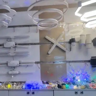 همخانه . همخونه