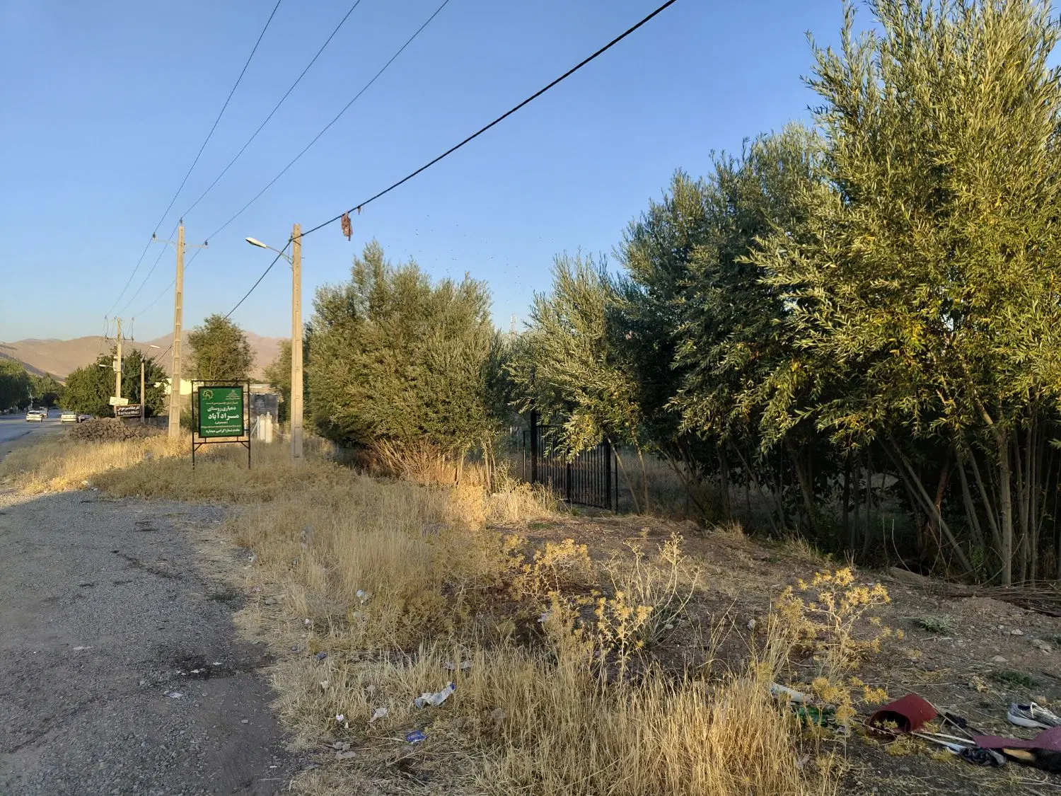 زمین