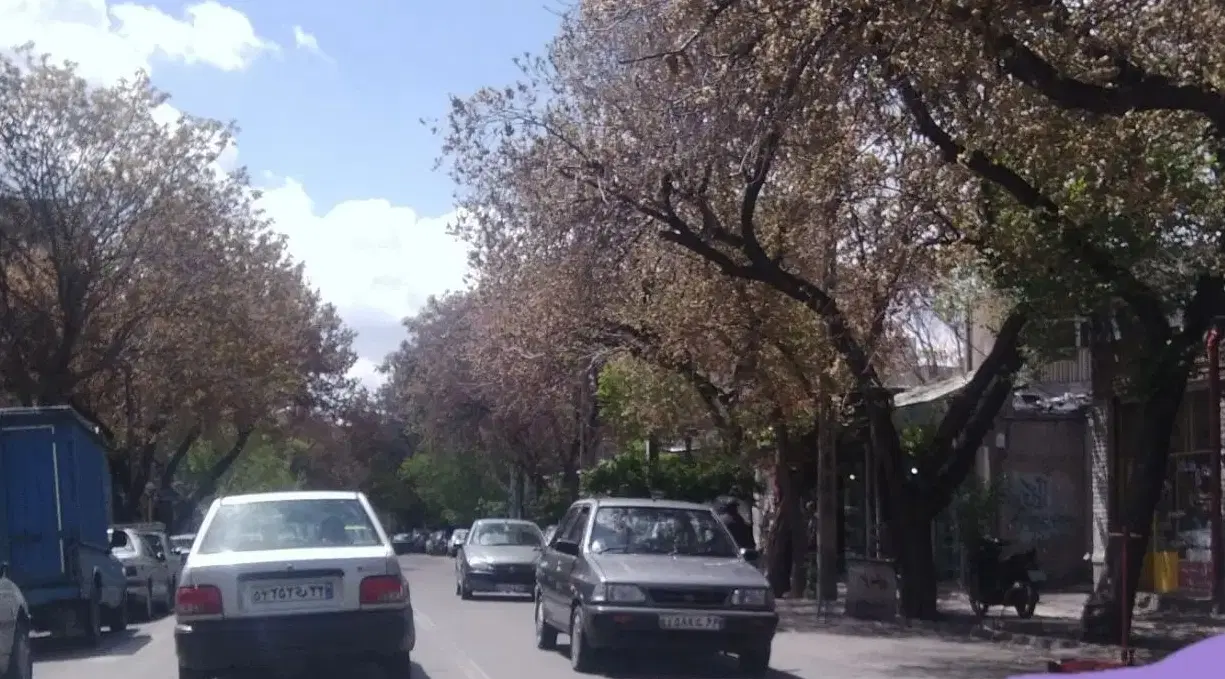 مغازه به متراژ *  ۱۰ و ۱۲ متر * بر خیابان بهار