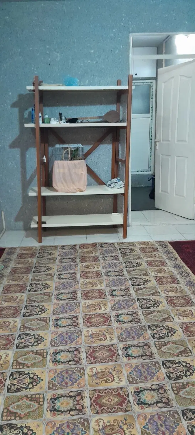 همخانه ارام و بی حاشیه