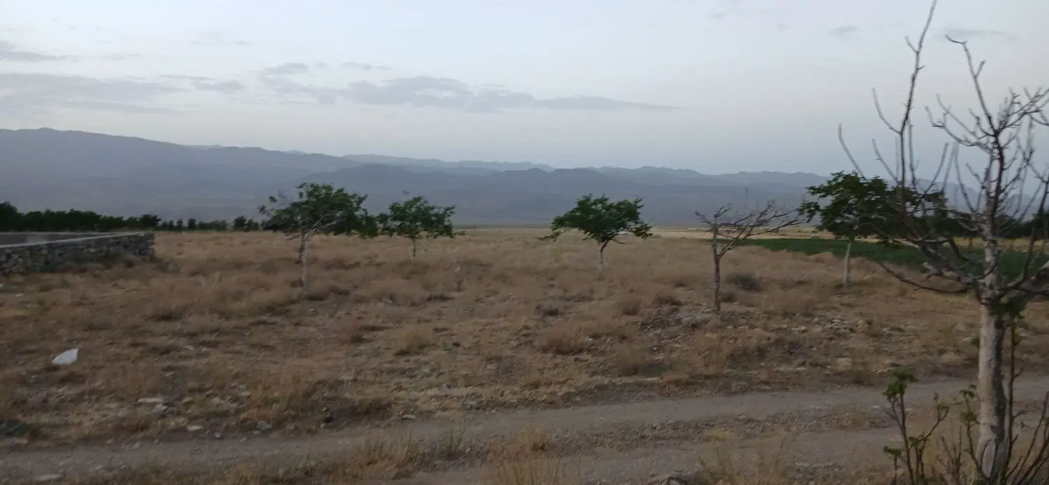 30 قصب زمین